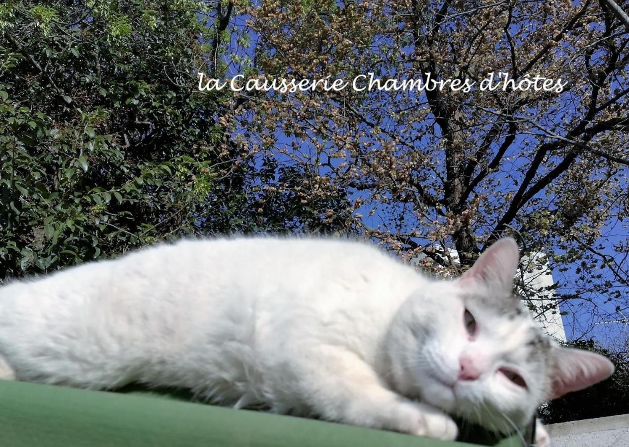 La Causserie, 2 Chambres D'Hotes, 2 A 4 Invites, Pour Vous Seuls Gramat Exterior photo