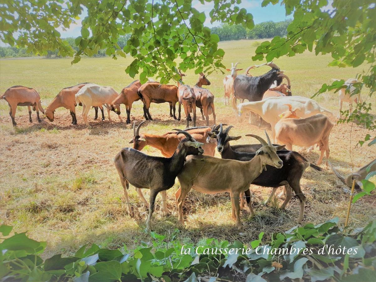 La Causserie, 2 Chambres D'Hotes, 2 A 4 Invites, Pour Vous Seuls Gramat Exterior photo